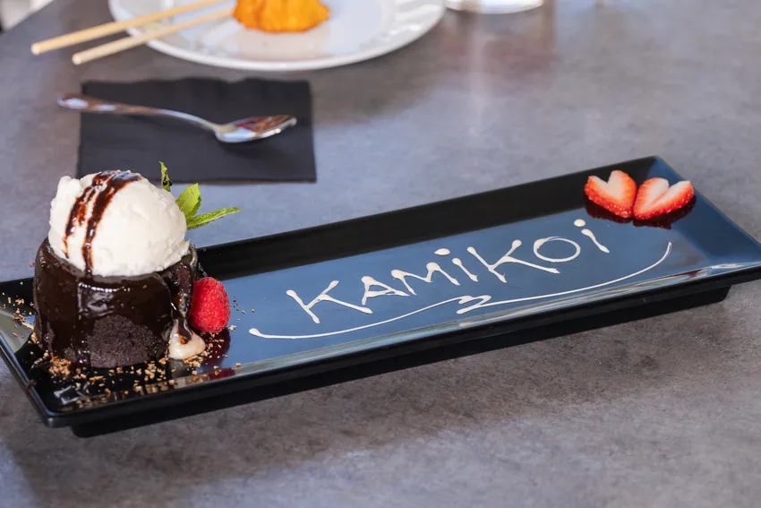 Chocolate cake with ice cream on a KamiKoi dessert plate